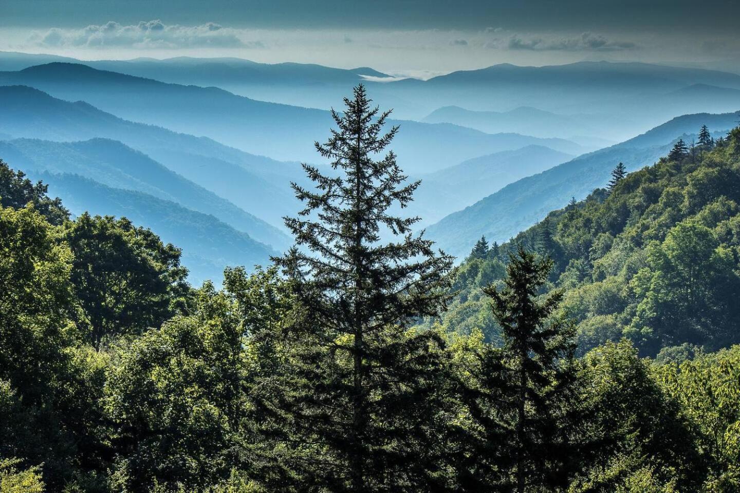 5Br Smoky Cabin Hot Tub, Games, 1 Mi To Parkway Pigeon Forge Εξωτερικό φωτογραφία