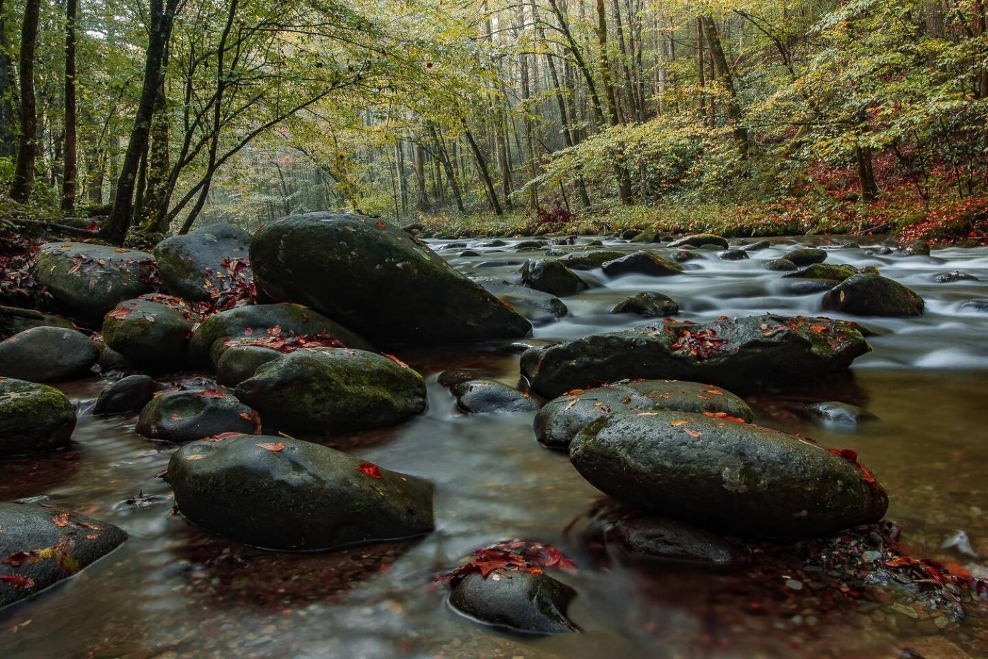 5Br Smoky Cabin Hot Tub, Games, 1 Mi To Parkway Pigeon Forge Εξωτερικό φωτογραφία